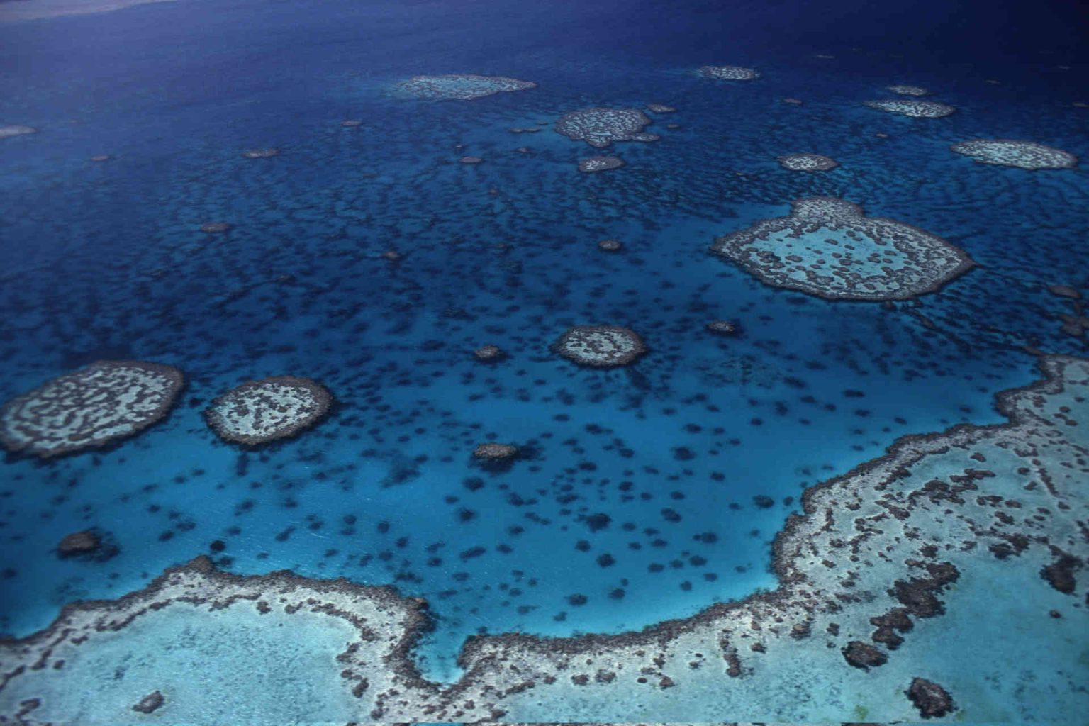 Aerial view of the Great Barrier Reef and Coral Sea, Australia, photo provided
