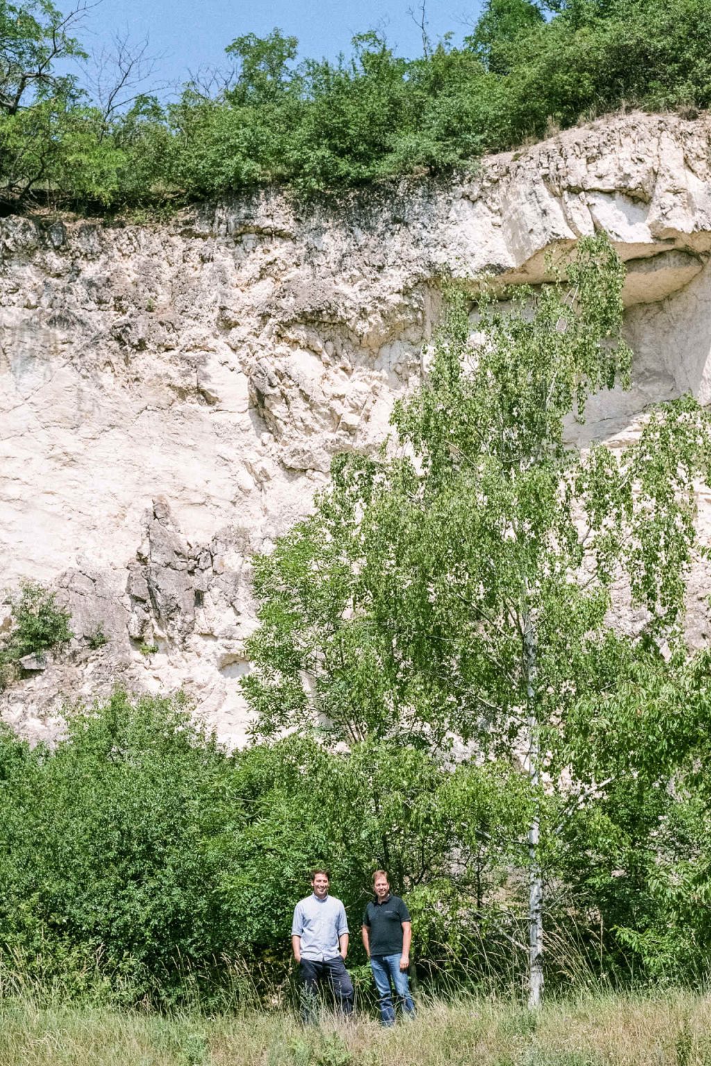 The wines are deeply rooted in limestone. © Pesau Winery