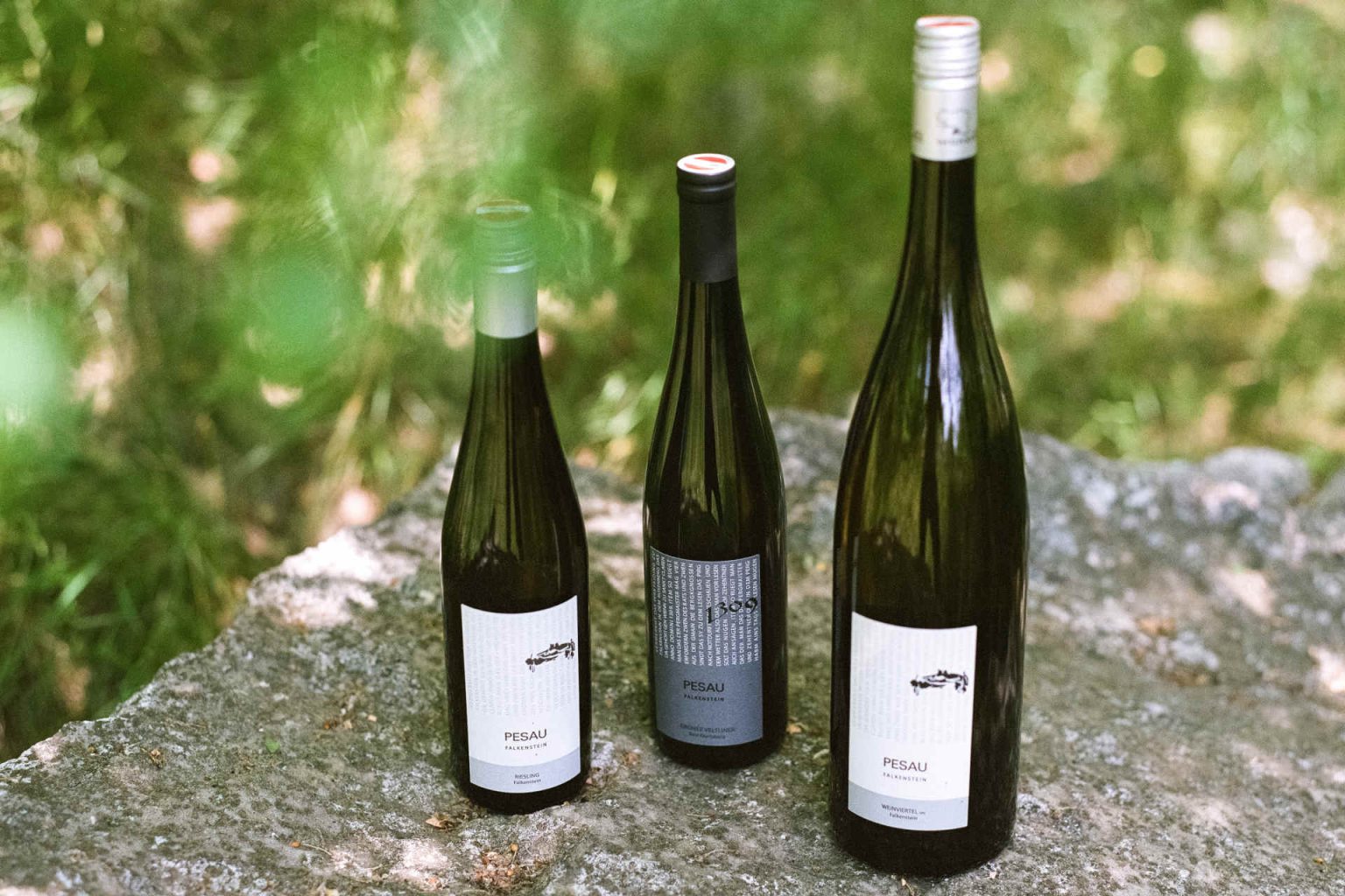 The vines of the Pesau winery. © Pesau Winery