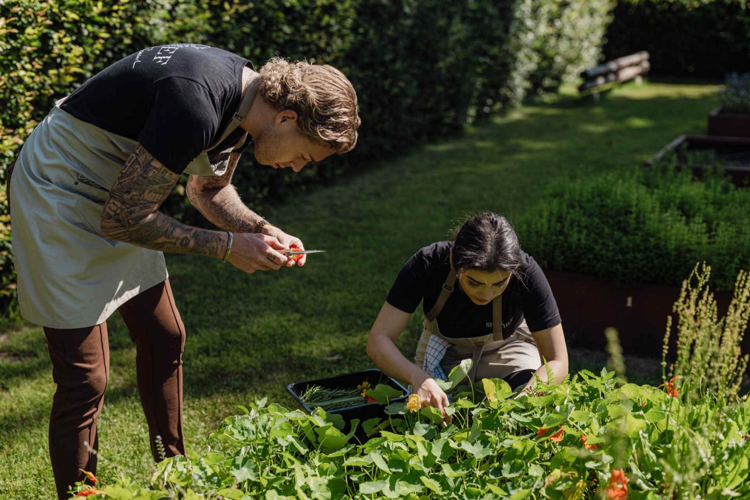 The team runs its own vegetable and herb garden © Tony Perez