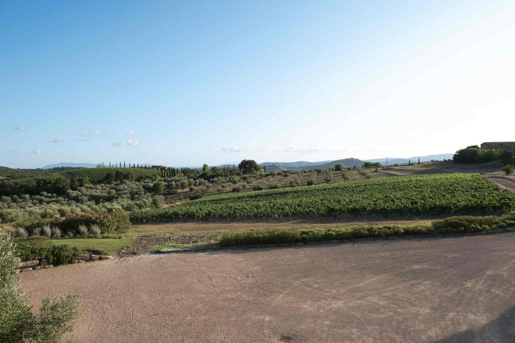 Azienda Agricola Purovino winery, photo provided