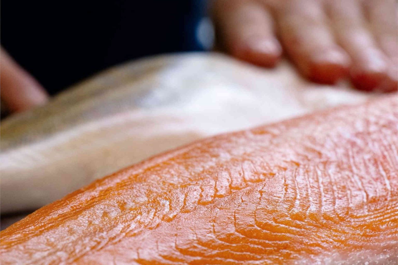 Alsatian char © R Express