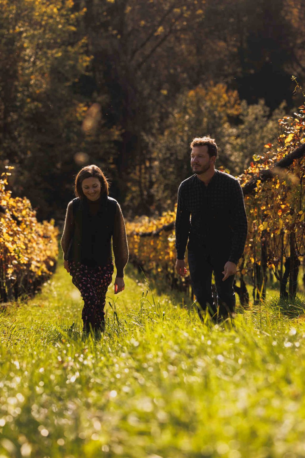 Daniel Jaunegg Winery © Stiefkind Fotografie