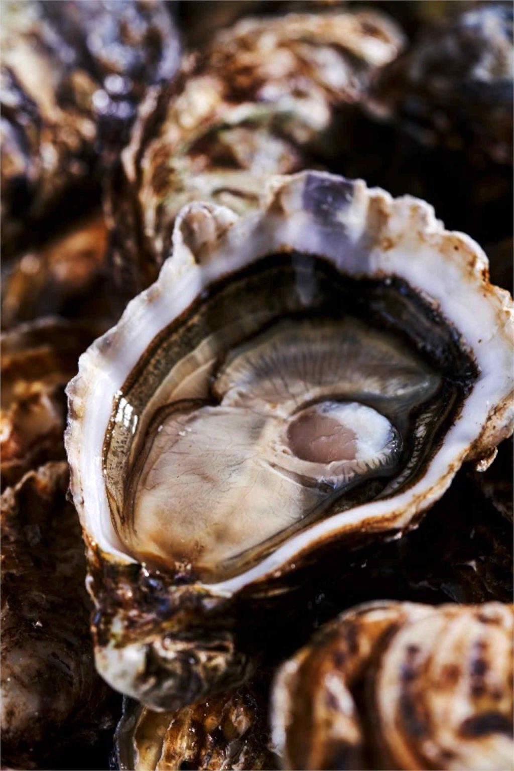 Gillardeau No. 2 oysters © R Express