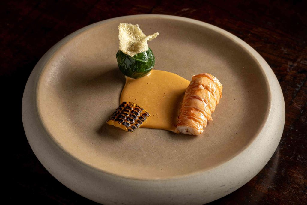 Origem Dish © Leonardo Freire