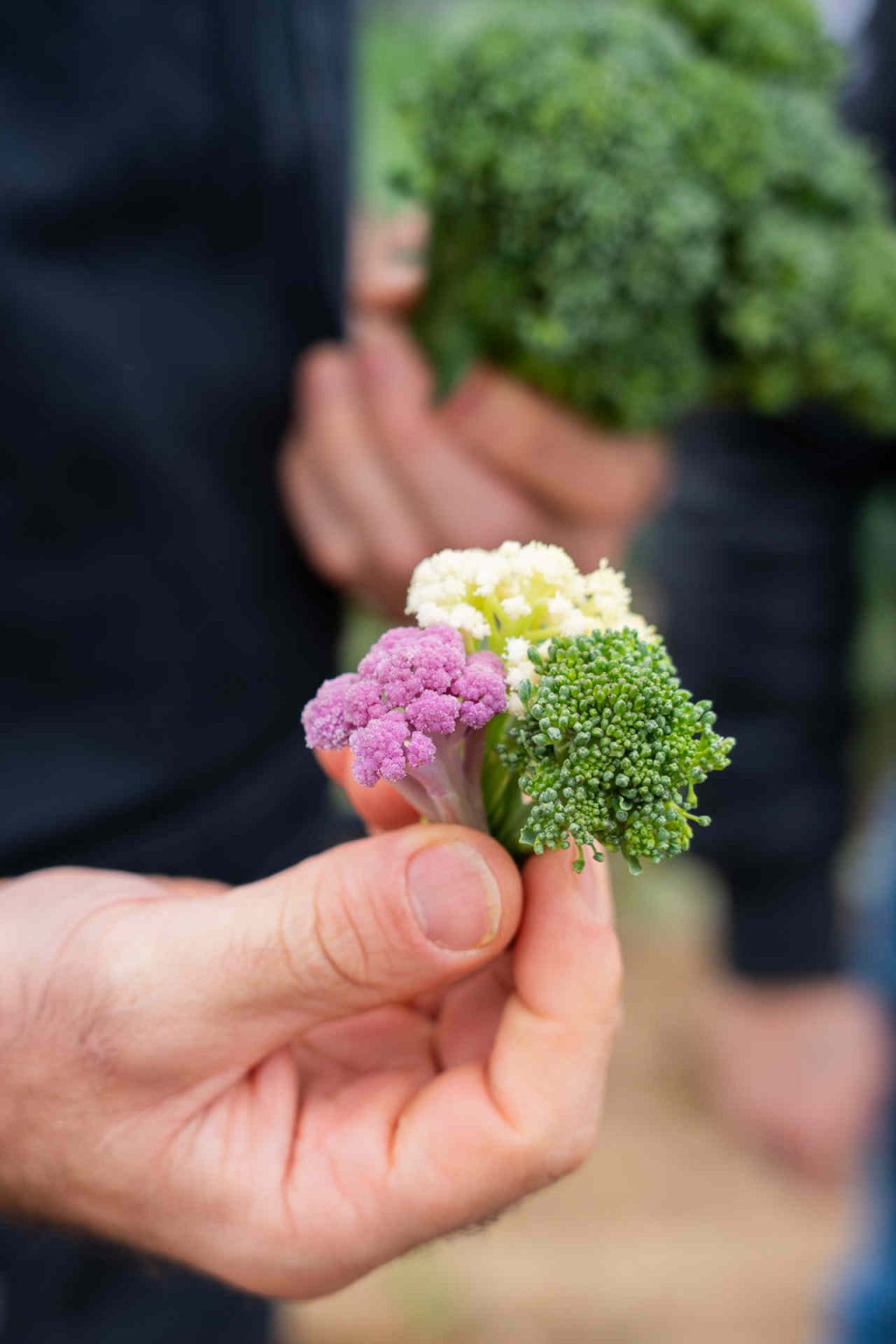 © Illustrations freepik