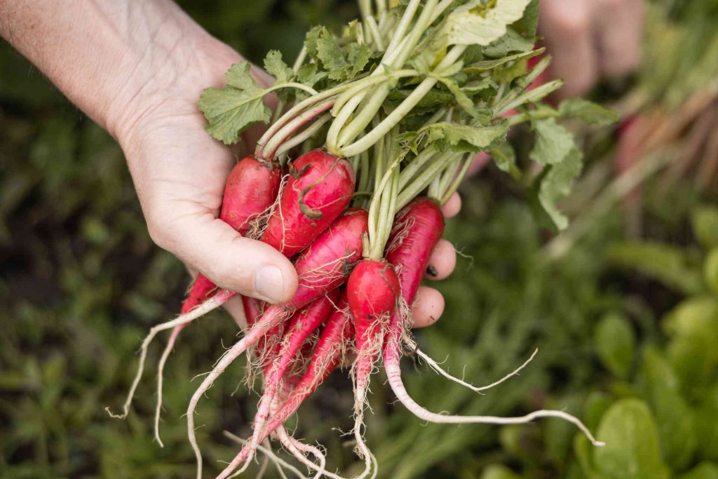 Prezioso Restaurant, Castel Fragsburg, photo provided