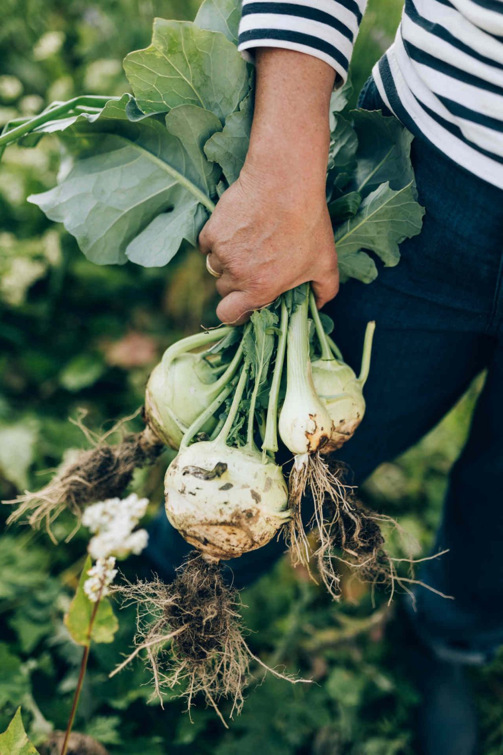 Rote Wand Culinary Lab © Dominic Kummer by Lech Zürs Tourismus