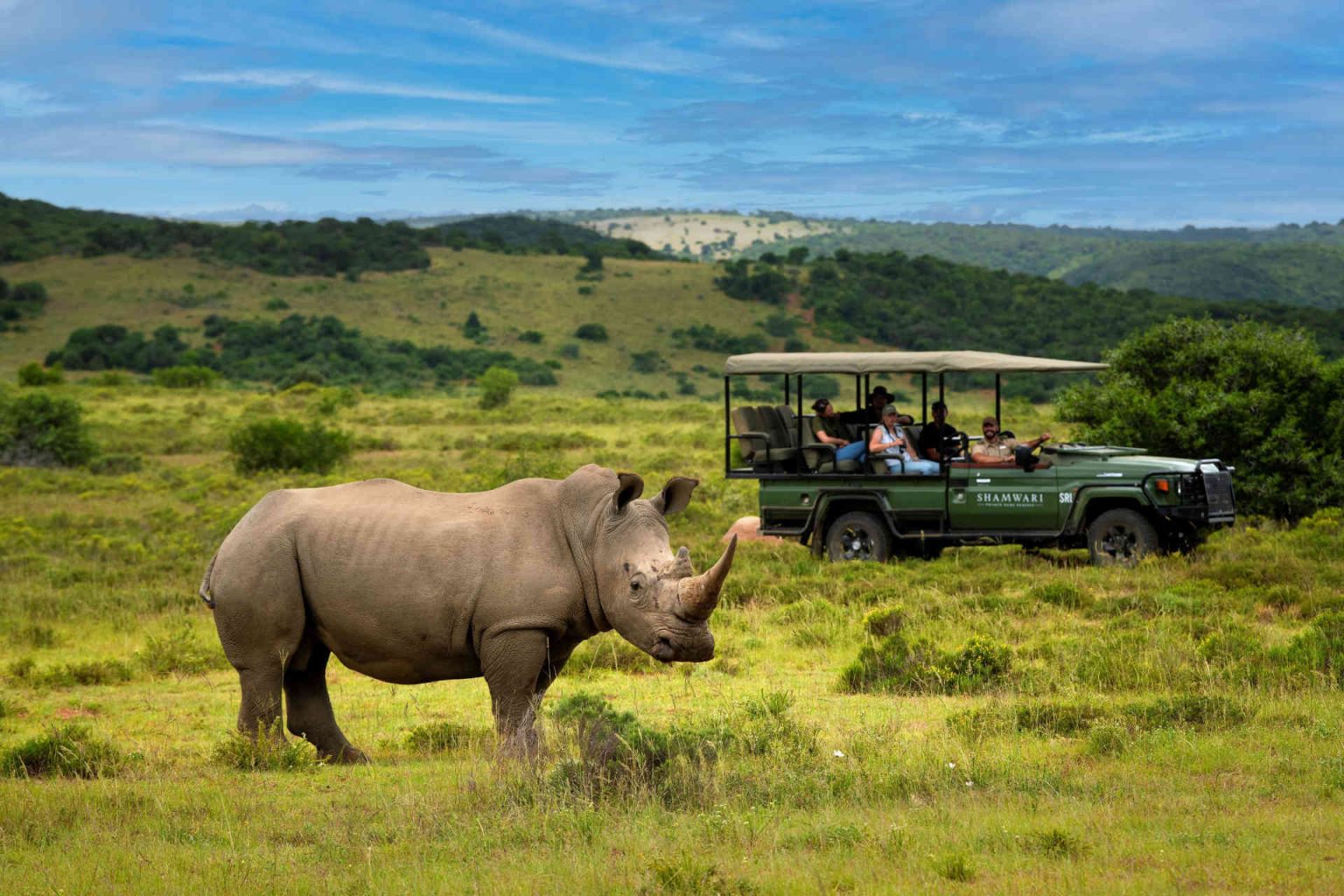 Rhinoceros © Shamwari Private Game Reserve