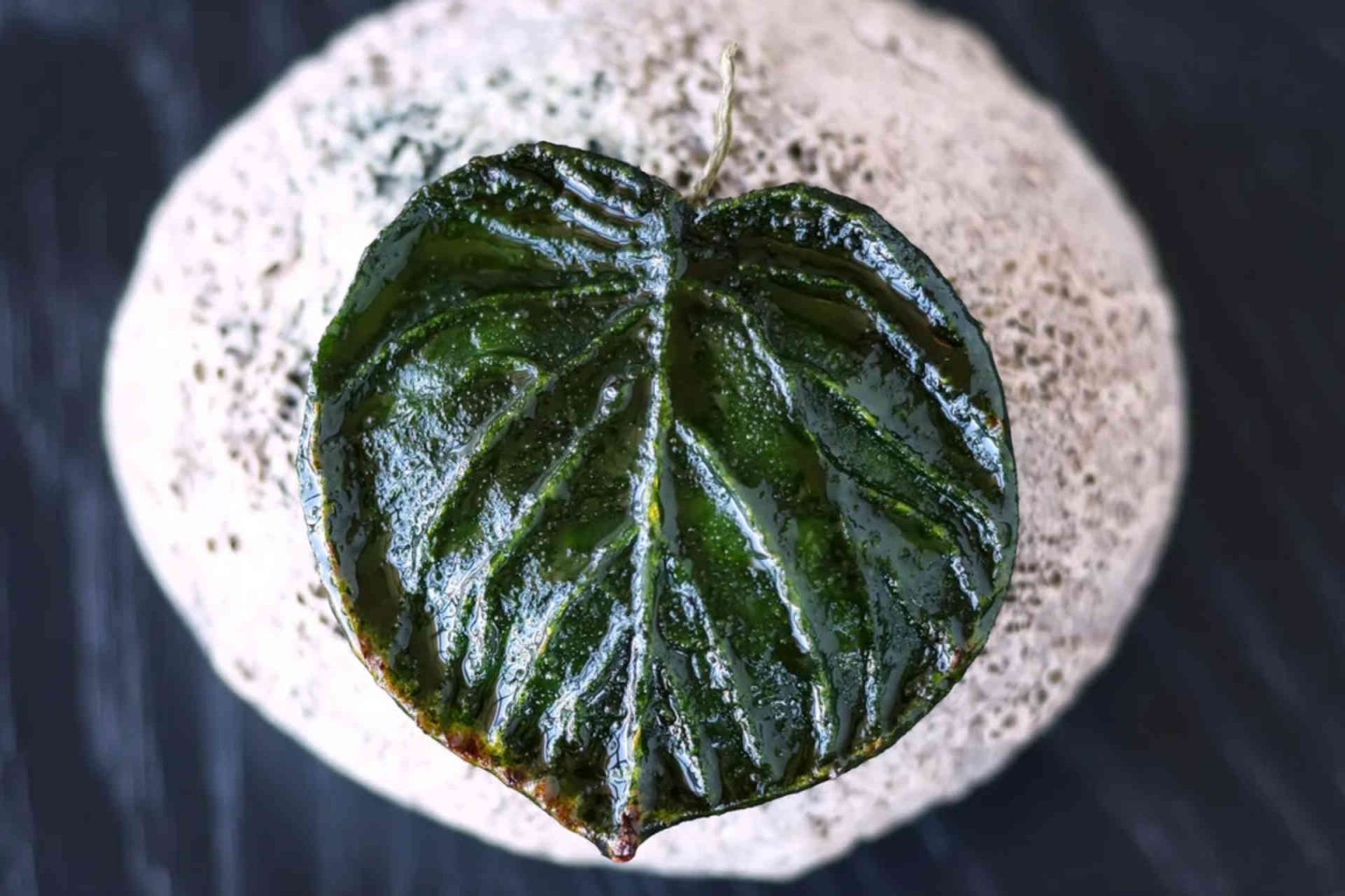 ‘Grilled Leaf’ – courgette – pear – treetop © Helge Kirchberger Photography